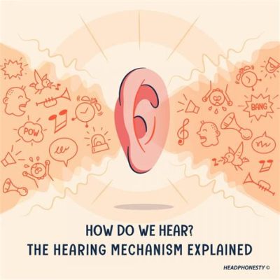 Which Ear Hears Music Better: A Symphony of Perspectives